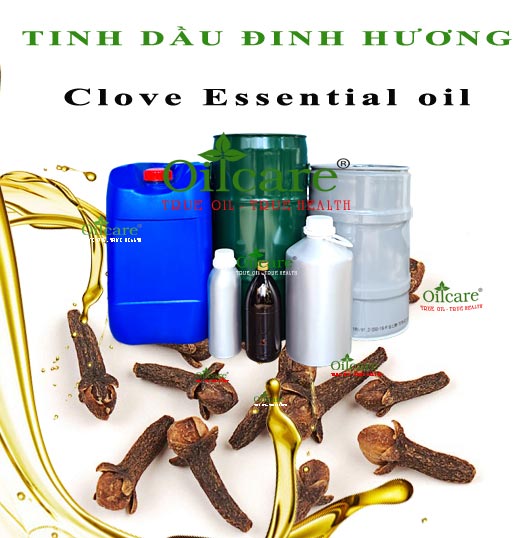 Tinh dầu đinh hương clove essential oil bán sỉ lít kg buôn rẻ