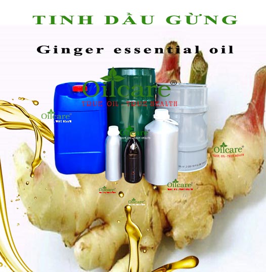 Tinh dầu gừng ginger essential oil bán sỉ lít kg buôn rẻ