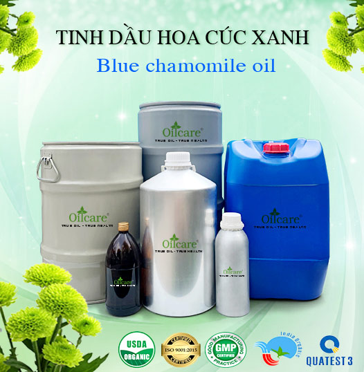 Tinh dầu cúc xanh bán sỉ lít kg buôn rẻ mua ở đâu tại hcm, hà nội, đà nẵng