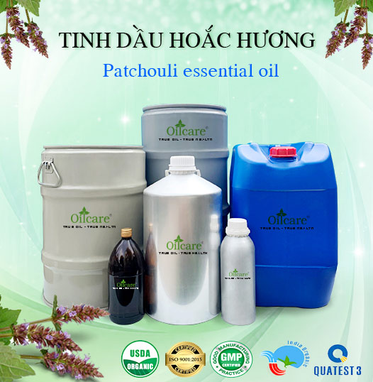 Tinh dầu hoắc hương bán sỉ lít kg buôn rẻ mua ở đâu