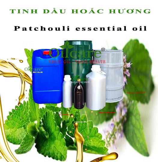 Tinh dầu hoắc hương Patchouli essential oil bán sỉ lít kg buôn rẻ mua ở đâu