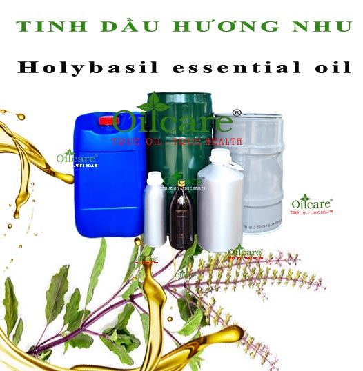Tinh dầu hương nhu bán sỉ lít kg giá rẻ “holy basil essential oil”