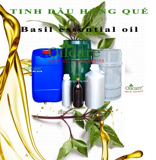 Tinh dầu húng quế basil essential oil bán buôn sỉ lít rẻ tại hà nội đà nẵng tphcm