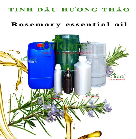 Tinh dầu hương thảo Rosemary essential oil bán sỉ lít kg buôn giá rẻ