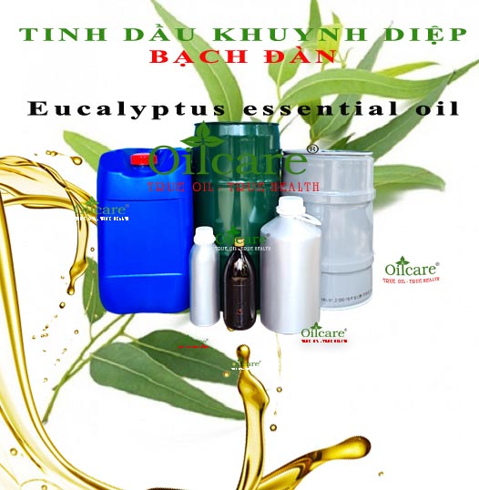 Tinh dầu bạch đàn khuynh diệp bán sỉ lít kg buôn rẻ "Eucalyptus essential oil"