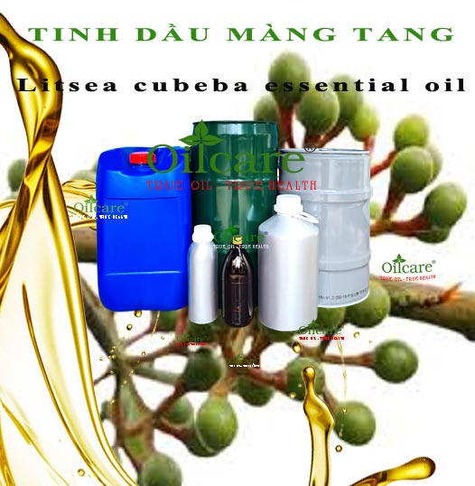 Tinh dầu màng tang litsea cubeba essential oil bán sỉ lít kg buôn giá rẻ