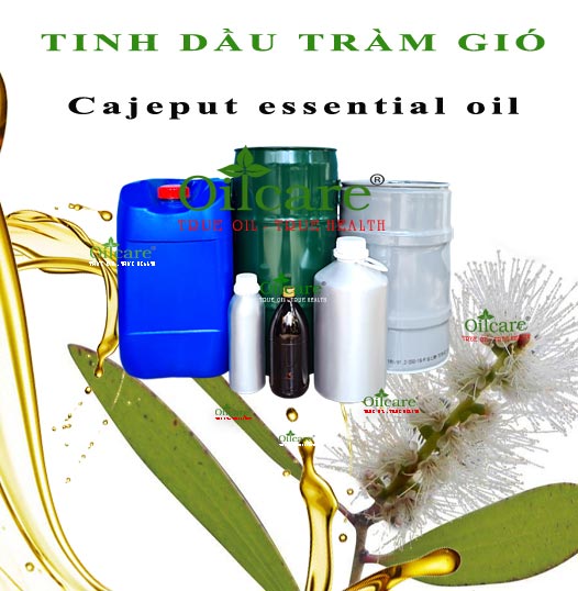 Tinh dầu tràm bán sỉ kg lít buôn giá rẻ mua ở đâu “Niaouli essential oil”