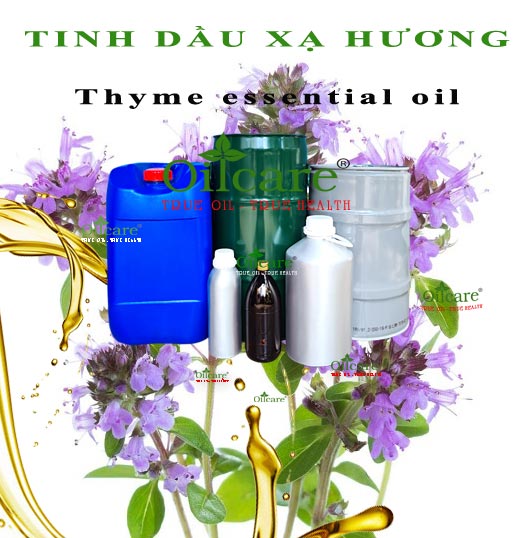 Tinh dầu xạ hương Thyme essential oil bán buôn sỉ lít rẻ
