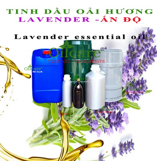Tinh dầu oải hương lavender essential oil bán sỉ kg lít buôn rẻ mua ở đâu