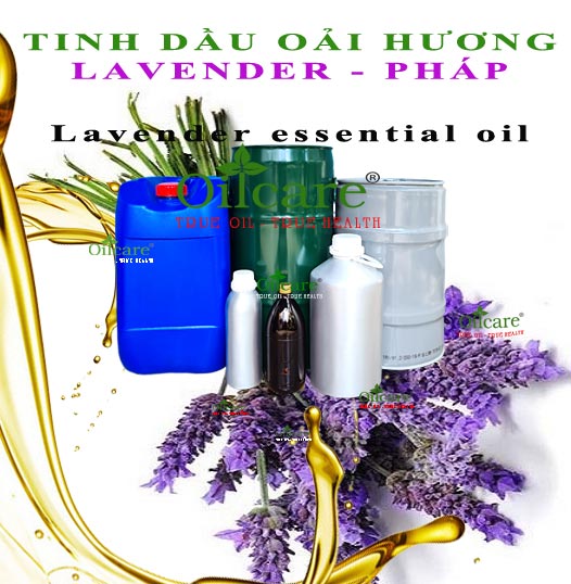Tinh dầu oải hương pháp bán sỉ lít kg buôn “Lavender essential oil of france”