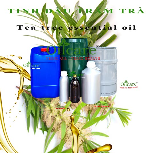 Tinh dầu tràm trà tea tree essential oil bán sỉ buôn lít kg giá rẻ