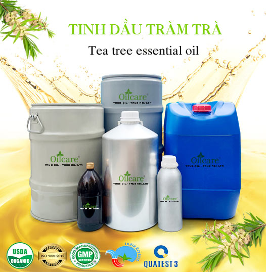 Tinh dầu tràm trà tea tree essential oil bán sỉ buôn lít kg giá rẻ
