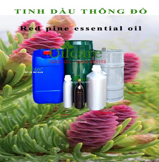 Tinh dầu thông đỏ Red pine essential oil bán sỉ lít kg buôn giá rẻ