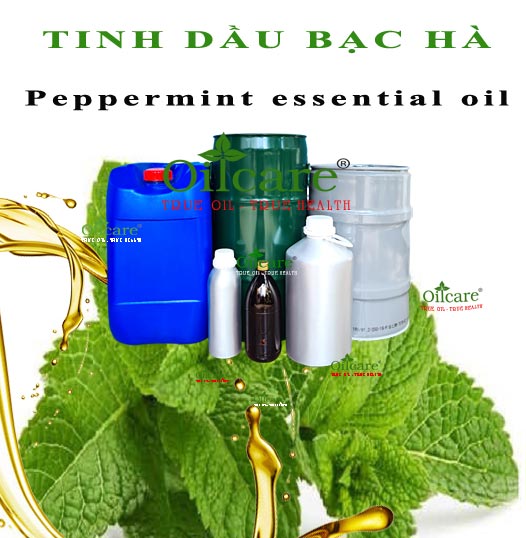 Tinh dầu bạc hà bán sỉ lít kg buôn rẻ mua ở đâu "Peppermint essential oil"