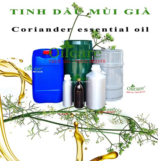 Tinh dầu mùi già coriander essential oil bán buôn lít sỉ giá rẻ tại hà nội