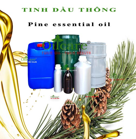 Tinh dầu thông Pine essential oil bán sỉ lít kg buôn giá rẻ mua ở đâu