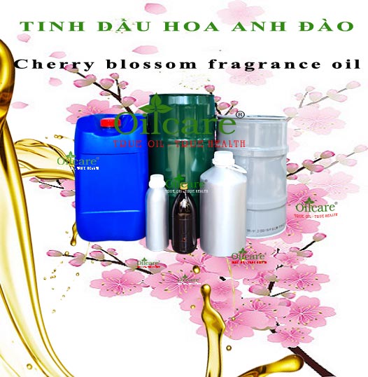Tinh dầu hoa anh đào bán sỉ lít kg buôn giá rẻ mua ở đâu “Cherry blossom fragrance oil”