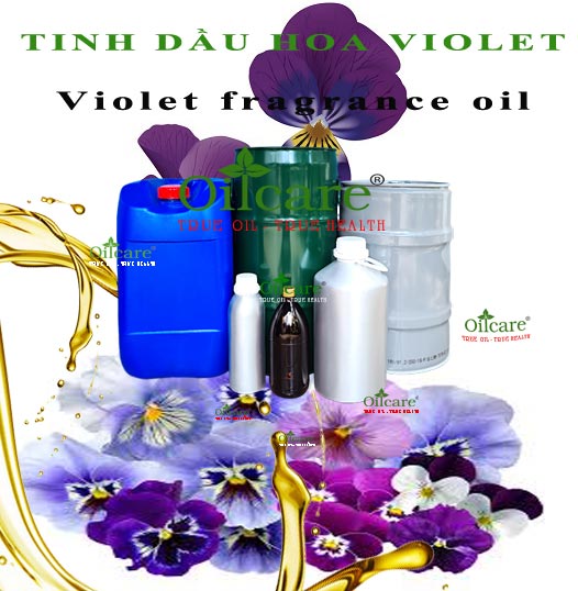 Tinh dầu hoa violet essential oil bán sỉ lít kg buôn giá rẻ mua ở đâu