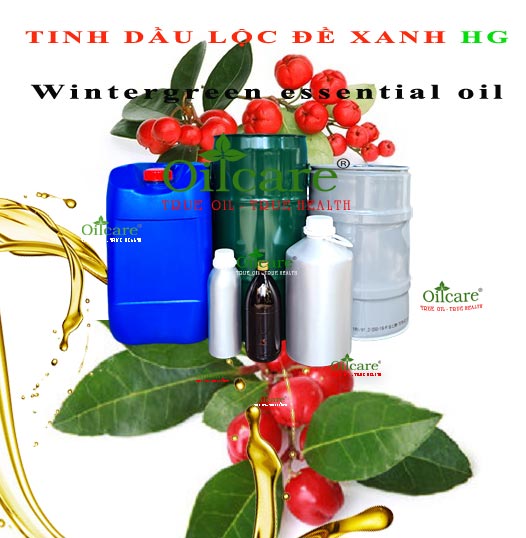 Tinh dầu lộc đề xanh cao cấp Wintergreen HG essential oil bán sỉ lít kg buôn giá rẻ mua ở đâu
