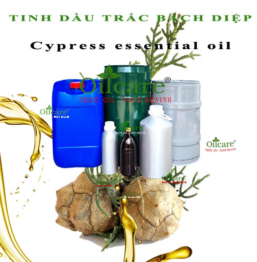 Tinh dầu trắc bách diệp bán sỉ lít kg buôn giá rẻ mua ở đâu “Cypress essential oil”