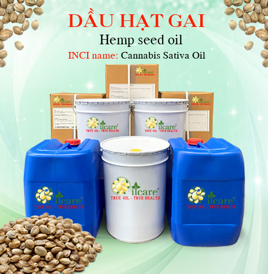 Cung cấp Dầu Hạt Gai Giá Sỉ, bán buôn số Lượng Lớn (Lít, Kg) – Uy Tín