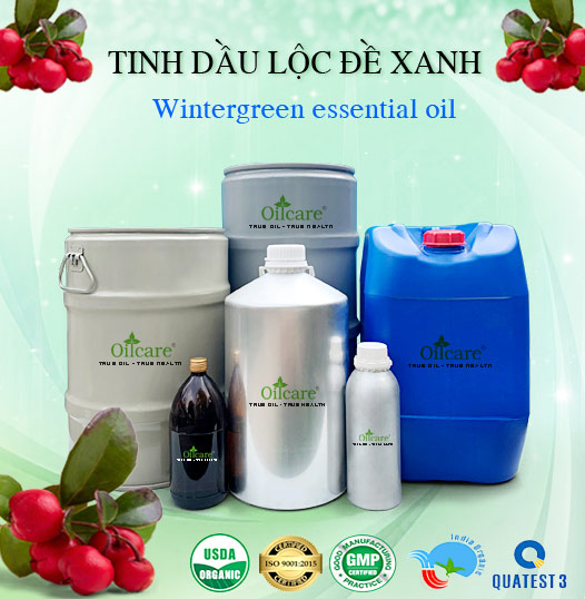 Nhà Cung Cấp & Nguồn Hàng Tinh Dầu