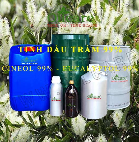 Tinh dầu tràm 99% bán sỉ kg lít buôn giá rẻ mua ở đâu “Cineol 99% – Eucalyptol 99%”