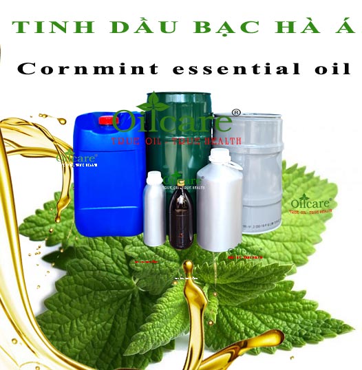 Tinh dầu bạc hà á giá sỉ cornmint wildmint bán lít kg buôn rẻ