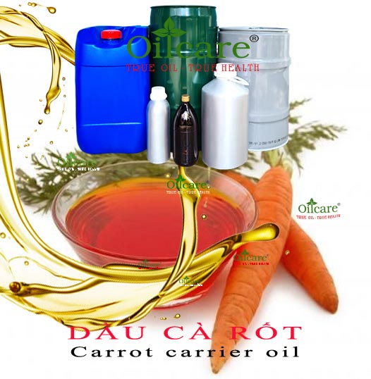 Dầu cà rốt giá sỉ carrot carrier oil lít kg buôn giá rẻ mua ở đâu