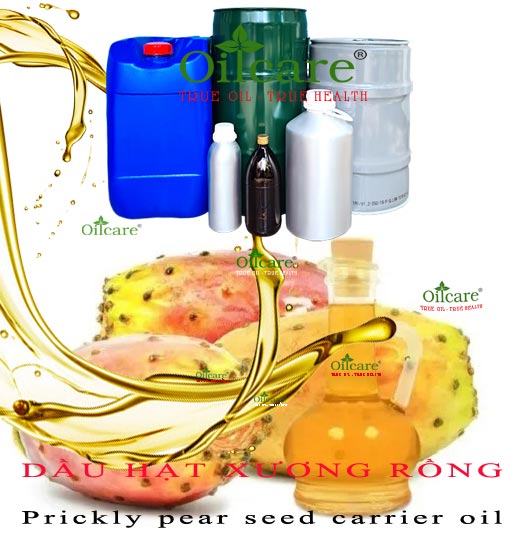 Dầu hạt xương rồng giá sỉ prickly pear seed carrier oil bán lít kg buôn rẻ mua ở đâu